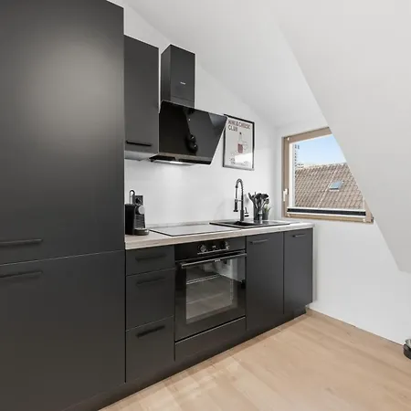 Malu - Im Zentrum, Balkon, 24h Checkin, Waschmaschine, Smarttv, Am Schloss, Saniert Und Modern * Ludwigsburg